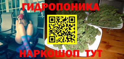 мяу мяу мука Беслан