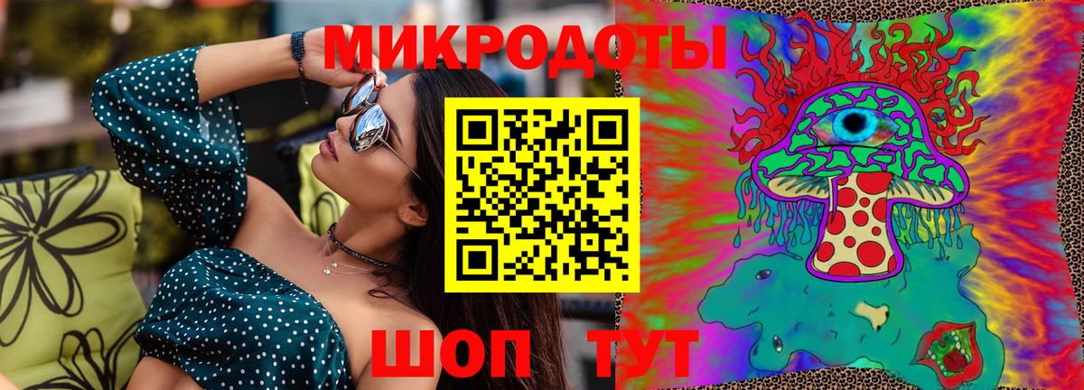 Псилоцибиновые грибы GOLDEN TEACHER  Галлюциногенные грибы MAGIC MUSHROOMS  Новокуйбышевск  купить наркотики цена  Вход с VPN 